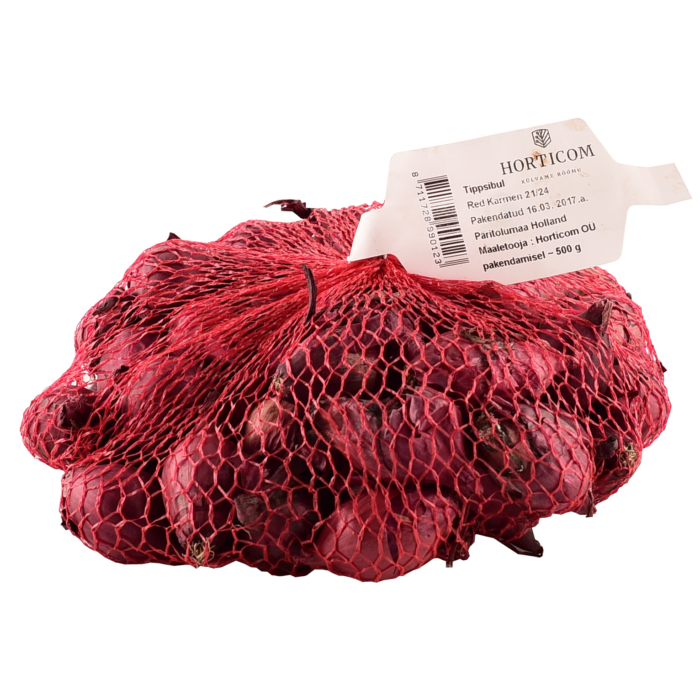 Pintasipuli Red Carmen d 12/24 500g