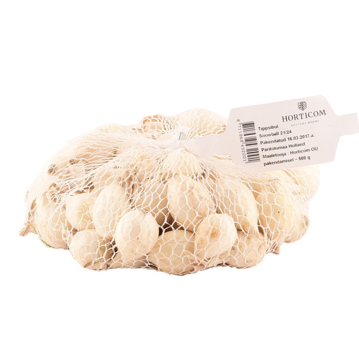 Onion Snowball d 21/24 500g