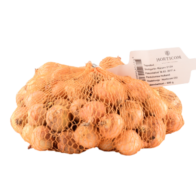 Tippsibul Stuttgarter Riesen 12/24 500g