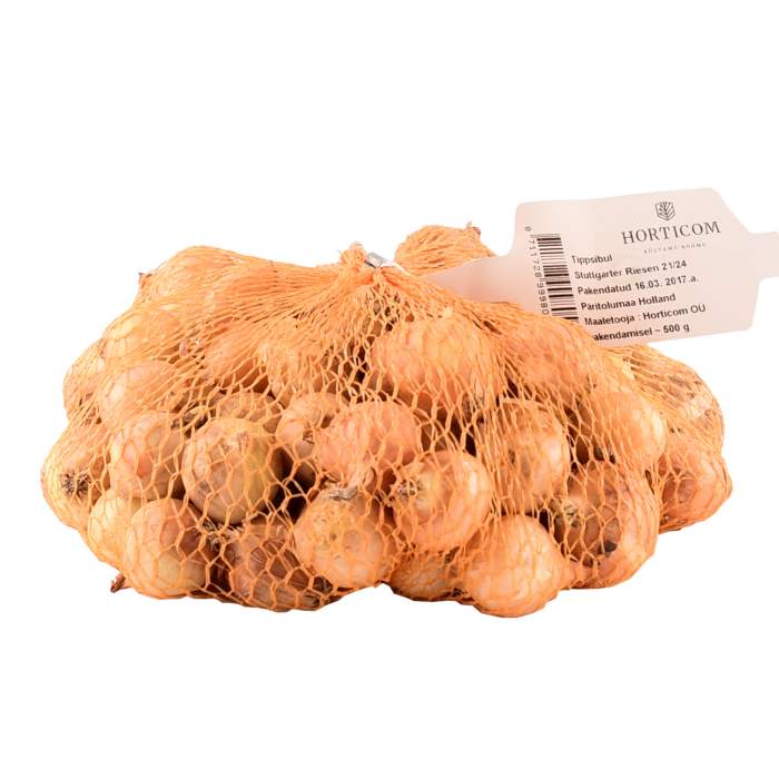 Topped onion Stuttgarter Riesen 12/24 500g