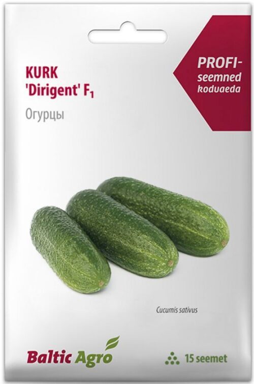 Kurk Dirigent 15s|