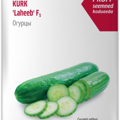 Kurk Laheeb 5s