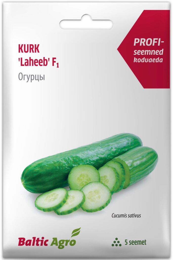 Cucumber Laheeb 5s