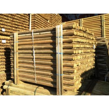 Puitpost immutatud 60x1650mm