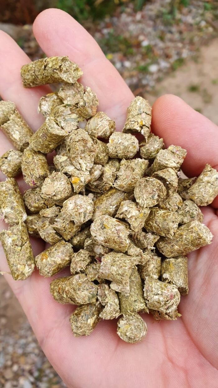 Corn pellets for horses