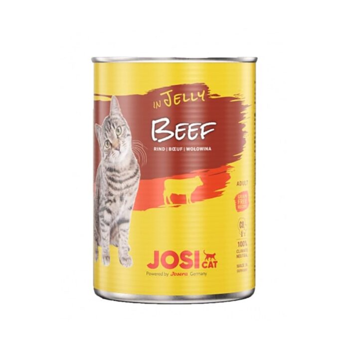 Josica in beef jelly