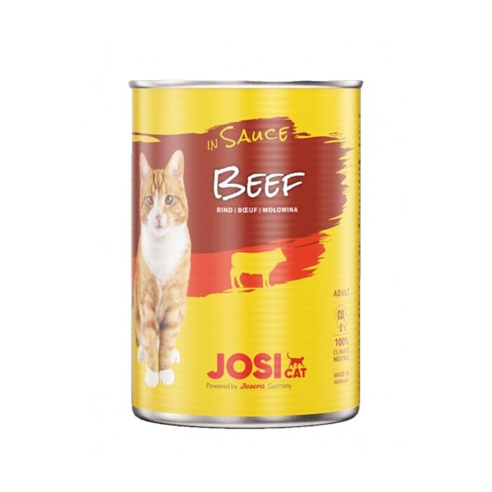 Josica in beef sauce