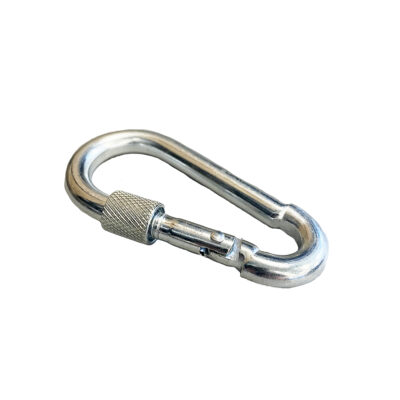 carabiner with lock