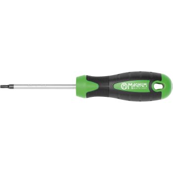 Kruvikeeraja TORX 15 75mm (41500)