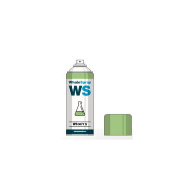 WS3077S
