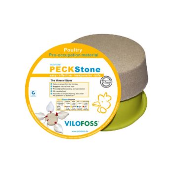 Nokakivi 10kg scandagra