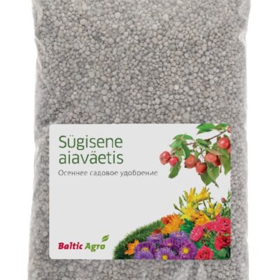 Sugisene in the garden