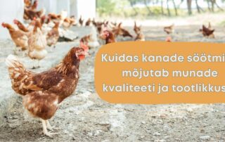 kanade söötmine