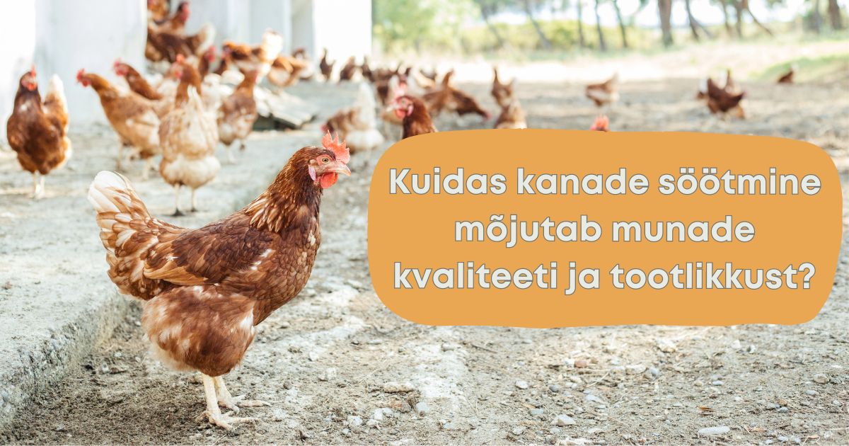 kanade söötmine