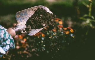 Kevadväetise kasutamine. Kühvlipeal on muld, millega on võetud maa seest mulda.