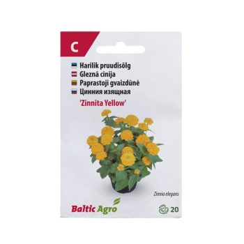 Pruudisõlg 'Zinnita Yellow' 20s