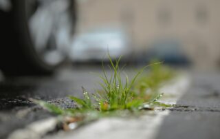 Umbrohi kasvab asfalttee seest välja, selle vastu aitab bio-äädikas
