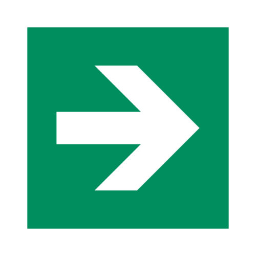 ISO 7010 E005 copy