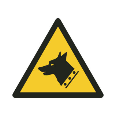 ISO 7010 W013 copy