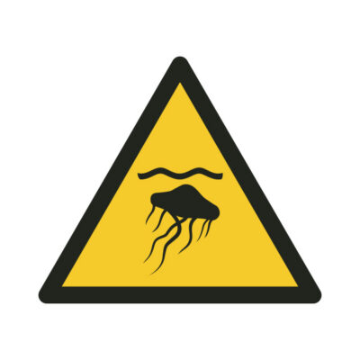 ISO 7010 W069 copy