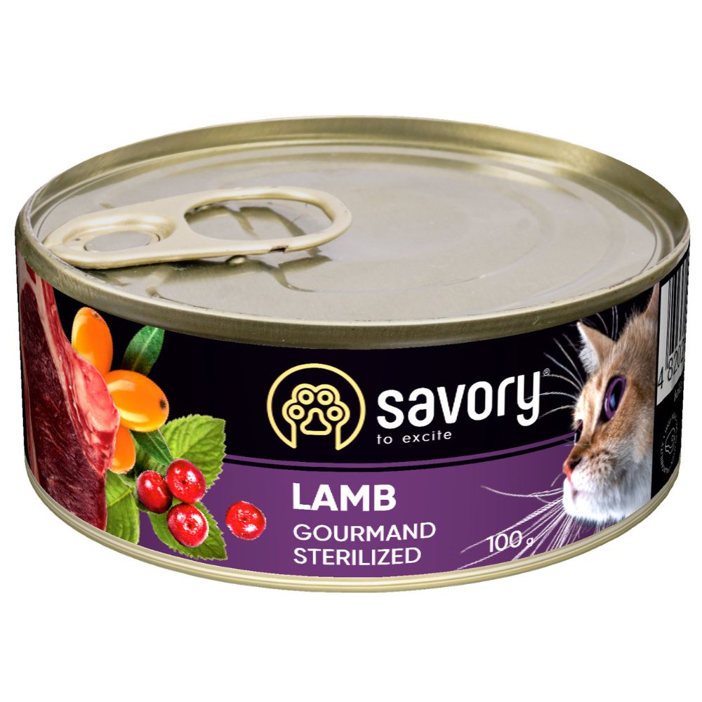 4820232630716 1 Savory konservi sterilizetiem kakiem ar Jeru 100 g