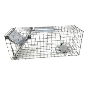 Eluslooma puur 50x17x20cm