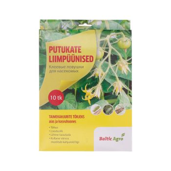 Kollane liimpüünis kasvuhoonesse