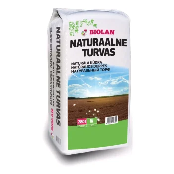 Turvas