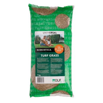 Muruseeme Robustica (kilekott) 1kg