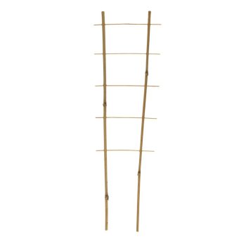 Taimeredel bambus 2 haru 5 astet 60 cm kõrgus