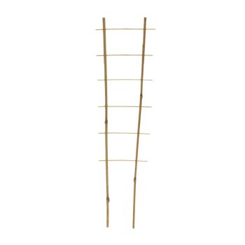 Taimeredel bambus 2 haru 5 astet 150 cm kõrgus