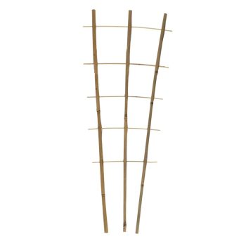 Taimeredel bambus 3 haru 6 astet 180 cm kõrgus