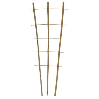 Taimeredel bambus 3 haru 6 astet 240 cm kõrgus