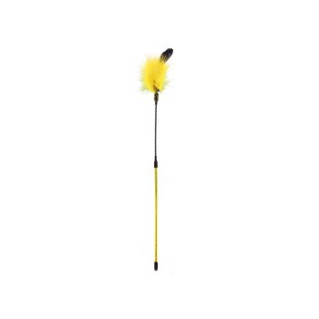 Record kollane sulega kassiõng 48cm