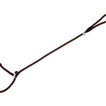 Freedog pruun kaelarihm-jalutusrihm koerale 8mm x 120cm
