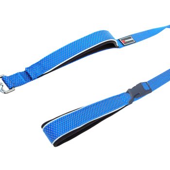 Freedog Extreme nailonist sinine jalutusrihm koerale 25mm x 180cm