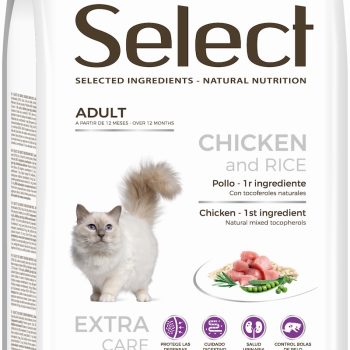 Select Adult Chicken and Rice kassitoit 2kg