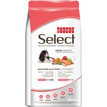 Select Mini Adult Salmon and Rice koeratoit 800g