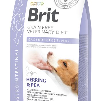Brit Veterinary Diet Gastrointestinal erisööt koertele 2kg