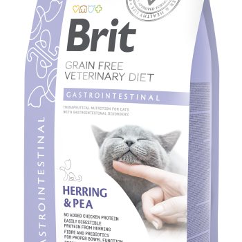 Brit Veterinary Diet Gastrointestinal erisööt kassidele 2kg