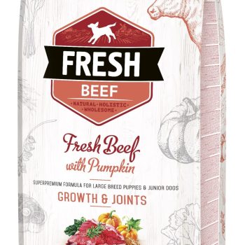 Brit Fresh Beef & Pumpkin Puppy Large Bones & Joints koeratoit 12 kg