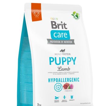 Brit Care Hypoallergenic Puppy Lamb koeratoit 3kg