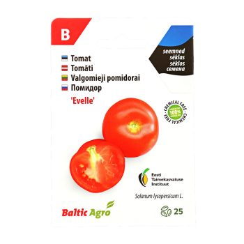 Tomat 'Evelle' 25s