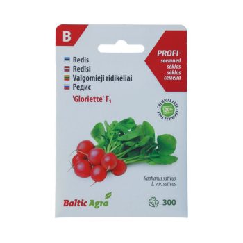 Redis 'Gloriette' F1 suur kerajas, 300s