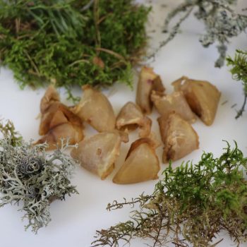 Tessa kuivatatud seasõrad koertele 60g