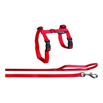 FLMG trakside ja jalutusrihma komplekt kassidele "Ela Big Cat" 35-56cm/120cm/12mm 511209
