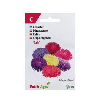 Aster Gala 80s