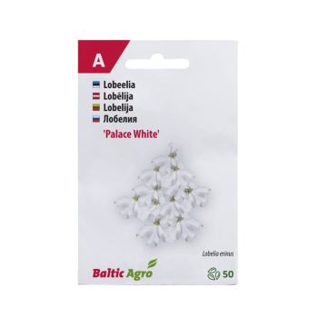 Lobeelia 'White Palace' 50 pilli