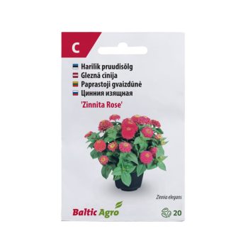 Pruudisõlg 'Zinnita Rose' 20s