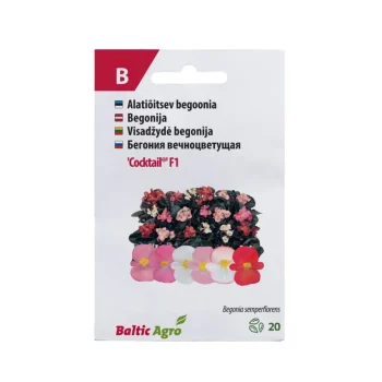 Begoonia  'Cocktail®'